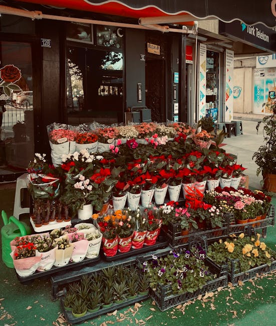 An outdoor display of fresh flowers outside a flower shop on Wood Green N22, arranged on multiple black tiered shelves and tables. The floral selection includes vibrant red roses, pink carnations, whi