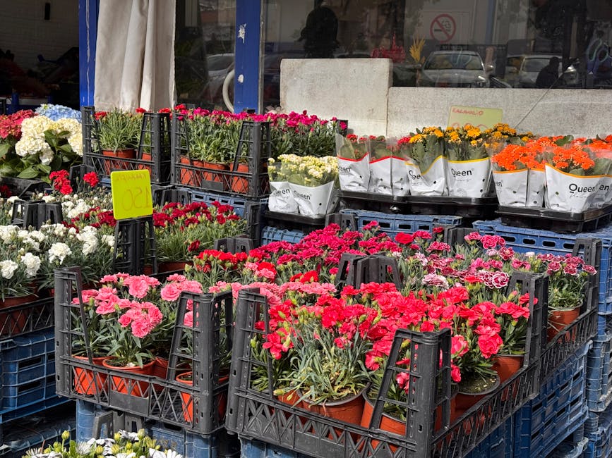 A display of colorful potted flowering plants arranged on black plastic crates outside a flower shop. The flowers include pink, red, white, yellow, and orange blooms, with some wrapped in white paper